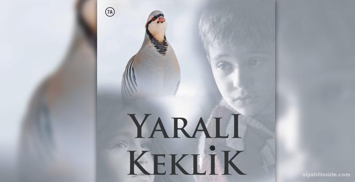 Yaralı Keklik –  Injured Partridge (2019) izle