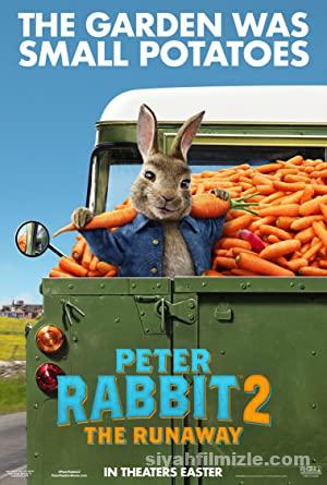 Peter Rabbit 2: Kaçak Tavşan 2021 Filmi Türkçe Dublaj izle