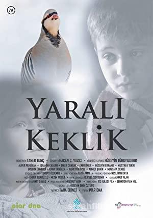 Yaralı Keklik 2019 Yerli Filmi Full Sansürsüz izle