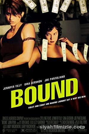 Tuhaf İlişkiler (Bound) 1996 Filmi Türkçe Dublaj Full izle