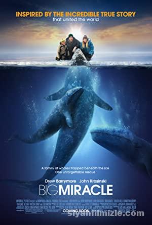 Büyük Mucize (Big Miracle) 2012 Filmi Full izle