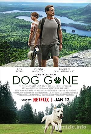 Kayıp Köpek 2023 Filmi Türkçe Dublaj Full izle