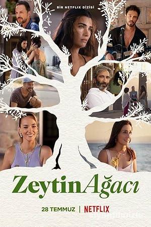 Zeytin Ağacı 2.Sezon izle Yerli Dizi Full Sansürsüz